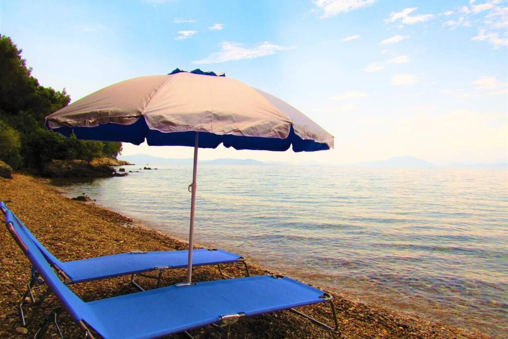 Christie'S Ground Floor Apartment By The Sea 卡托加兹阿 外观 照片